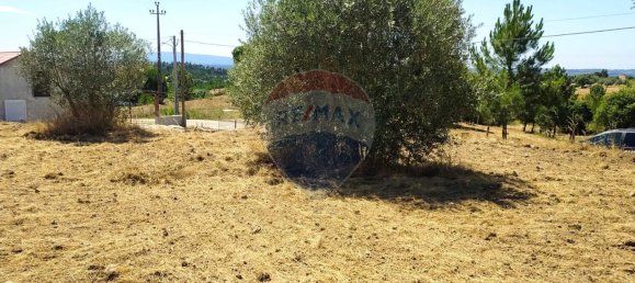 Земельный участок 1560м² в Томар, Португалия № 71256 12