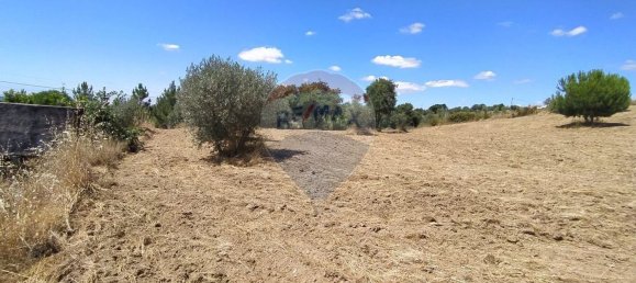 Земельный участок 1560м² в Томар, Португалия № 71256 3