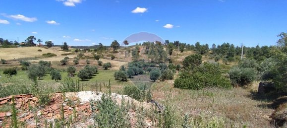 Земельный участок 1560м² в Томар, Португалия № 71256 7