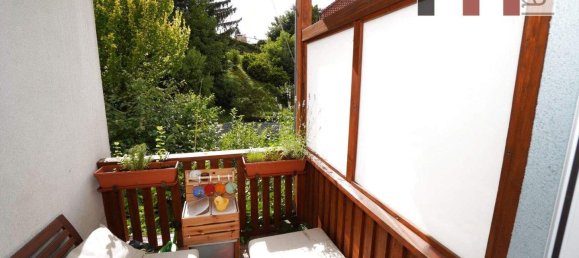 3 rooms Apartment in Eichgraben, Austria No. 246100 9