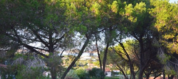 Вилла с 10 спальнями в Каполивери, Италия № 359229 48