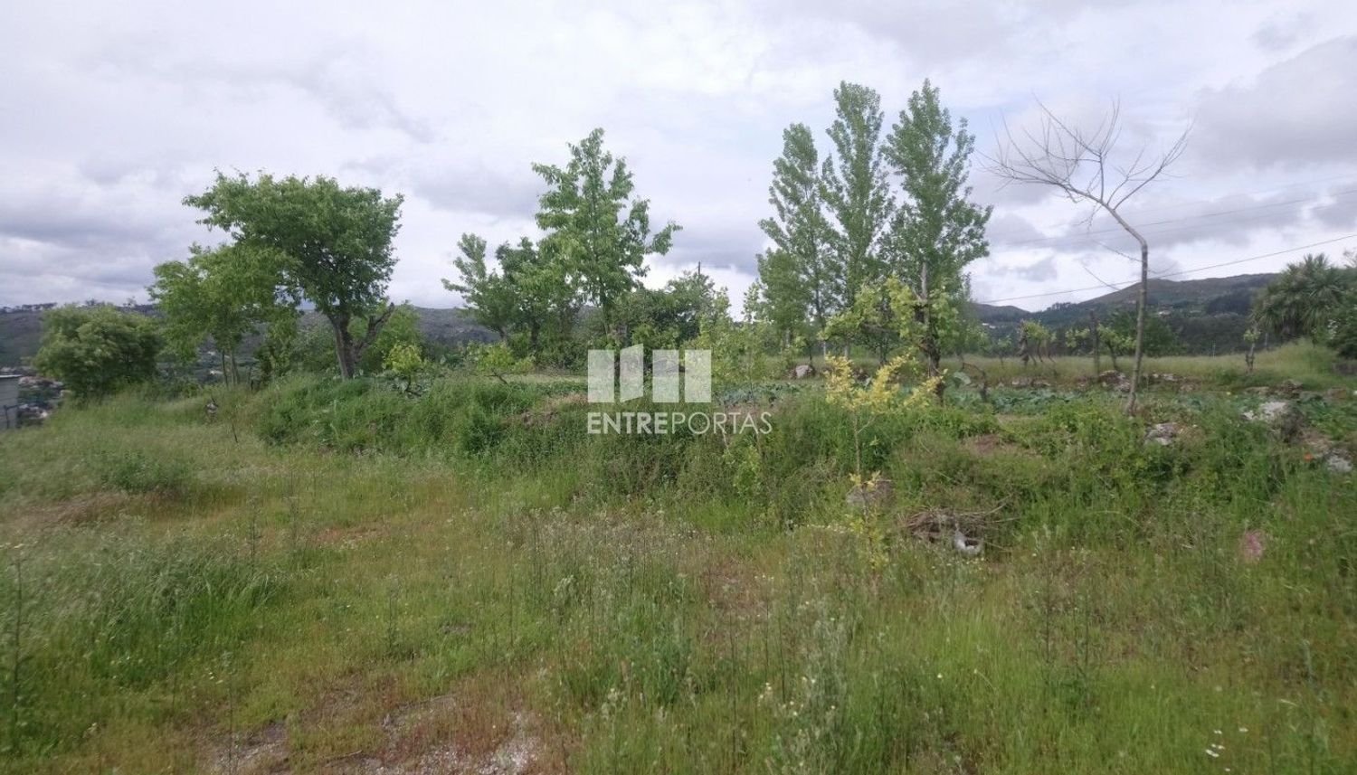 17960m² Land in Soalhaes, Portugal No. 57446