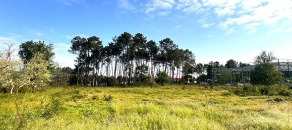 10-Zimmer Haus in Audenge, France, Nr. 346557 4