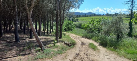 Земельный участок 15000м² в Герона, Испания № 153367 6