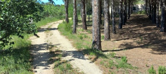 Земельный участок 15000м² в Герона, Испания № 153367 9