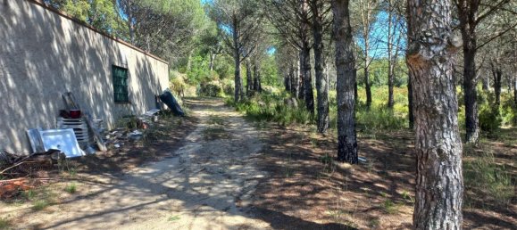 Земельный участок 15000м² в Герона, Испания № 153367 5