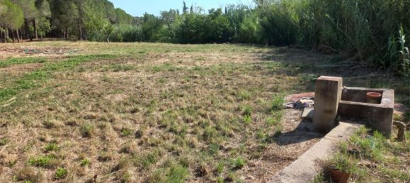 Земельный участок 15000м² в Герона, Испания № 153367 12