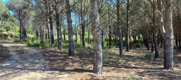 Земельный участок 15000м² в Герона, Испания № 153367 7