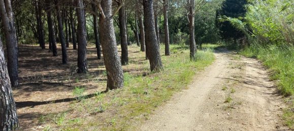 Земельный участок 15000м² в Герона, Испания № 153367 10