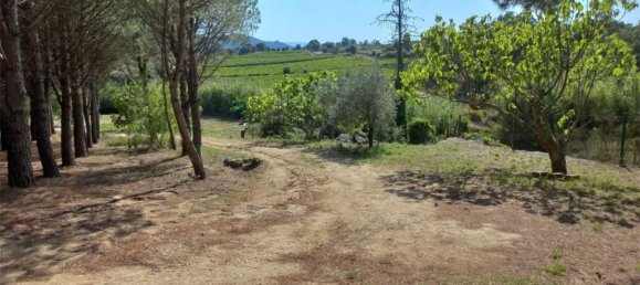 Земельный участок 15000м² в Герона, Испания № 153367 15