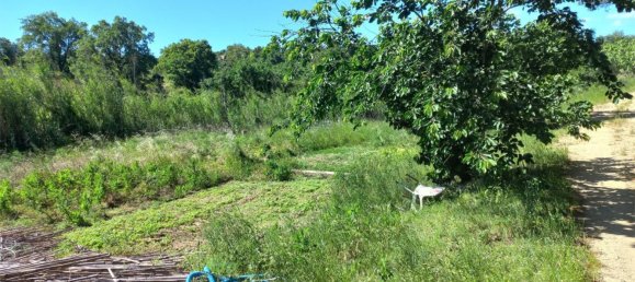 Земельный участок 15000м² в Герона, Испания № 153367 8