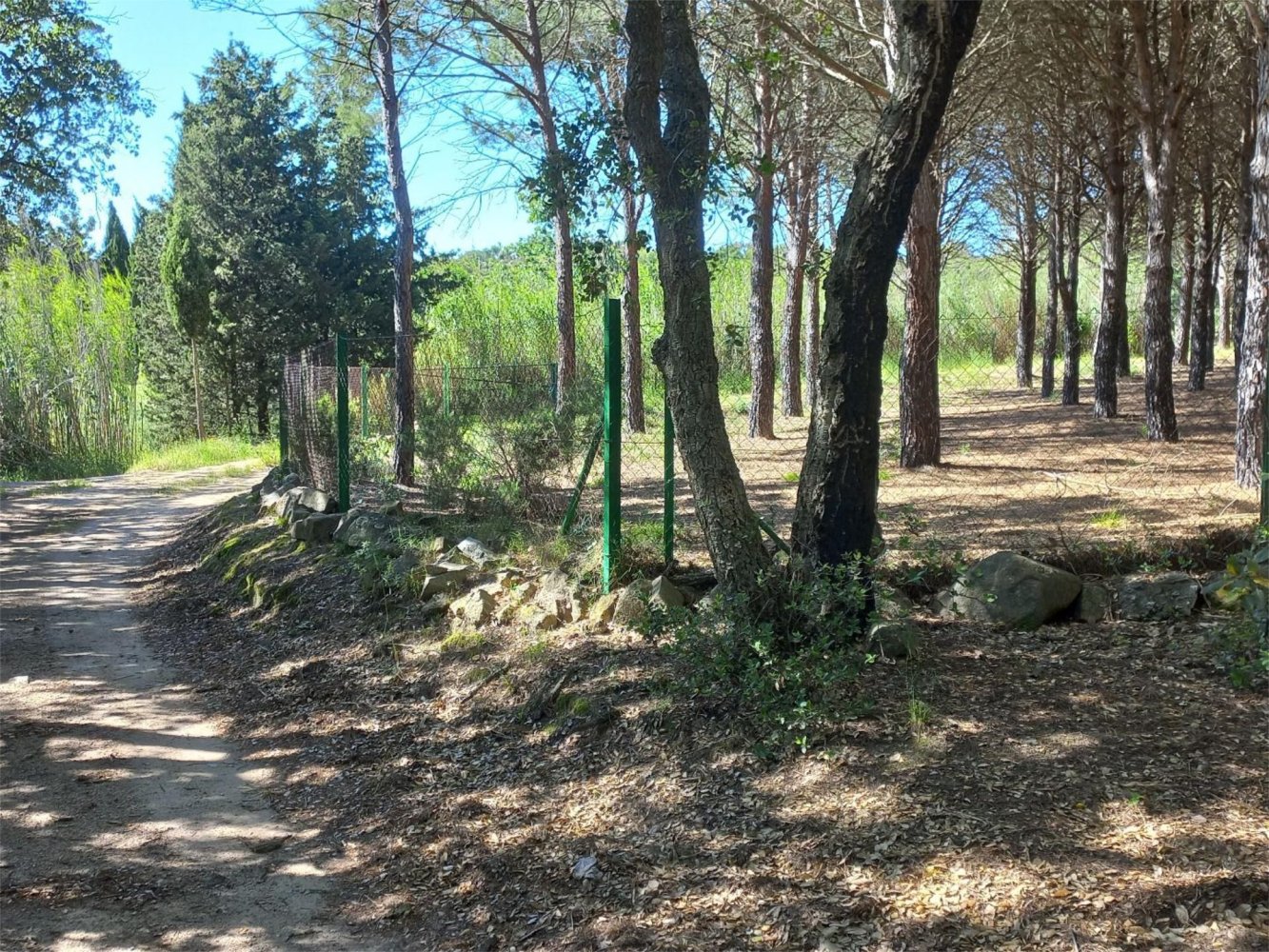  قطعة أرض في Girona, Spain 15000متر مربع رقم 153367