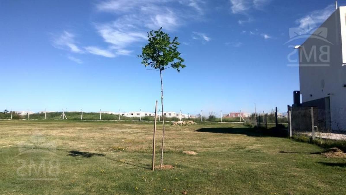  قطعة أرض في Tigre, Argentina رقم 113619