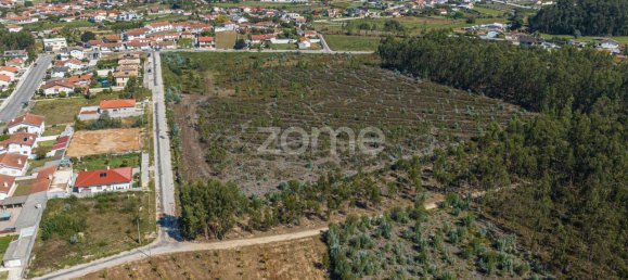  قطعة أرض في Oliveira de Azemeis, Portugal 36892متر مربع رقم 87156 12