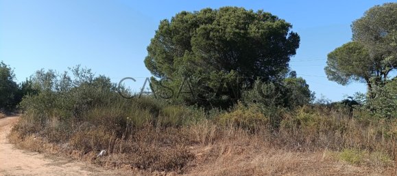 قطعة أرض في Quarteira, Portugal رقم 190609 3