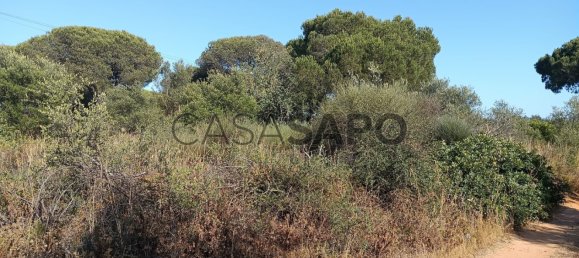  قطعة أرض في Quarteira, Portugal رقم 190609 2