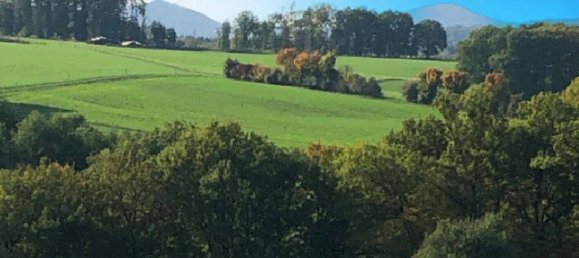 Terrain à Neuwied, Germany No. 167985 5