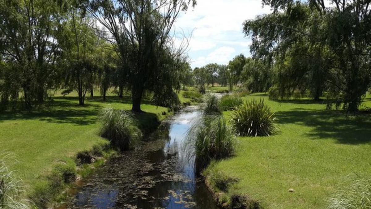 Bauernhof in San Andres de Giles, Argentina, Nr. 39275