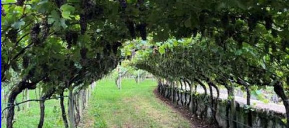 7 rooms Apartment in Mori, Italy No. 49361 18