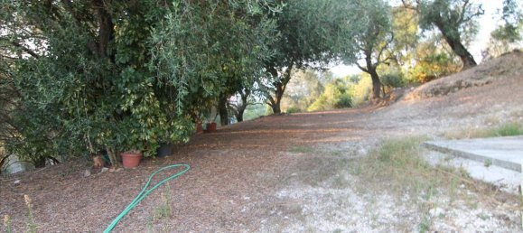 250m² propriété commerciale à vendre à Corfu, Central Corfu and Diapontian Islands, Corfu, Ionian Islands, Peloponnese, Western Greece and the Ionian, Greece № 5495 10