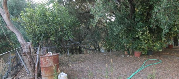 250m² propriété commerciale à vendre à Corfu, Central Corfu and Diapontian Islands, Corfu, Ionian Islands, Peloponnese, Western Greece and the Ionian, Greece № 5495 11