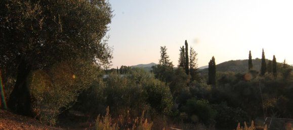 250m² propriété commerciale à vendre à Corfu, Central Corfu and Diapontian Islands, Corfu, Ionian Islands, Peloponnese, Western Greece and the Ionian, Greece № 5495 16