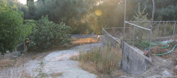 250m² propriété commerciale à vendre à Corfu, Central Corfu and Diapontian Islands, Corfu, Ionian Islands, Peloponnese, Western Greece and the Ionian, Greece № 5495 14