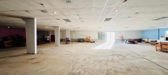 4559m² Warehouse in Toledo, Spain No. 167303 9