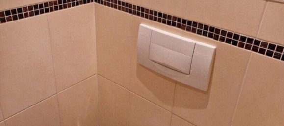 Таунхаус с 8 комнатами в Алланд, Австрия № 251318 15