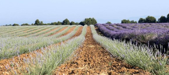 500m² Land in Misano Adriatico, Italy No. 133412 4