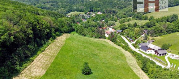 13 rooms House in Pressbaum, Austria No. 224576 15