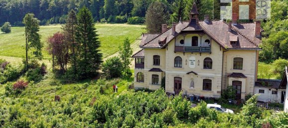 13 rooms House in Pressbaum, Austria No. 224576 5