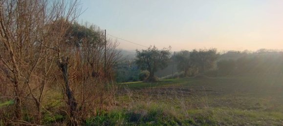 Дом с 12 комнатами в Мальяно ди Тенна, Италия № 115335 6