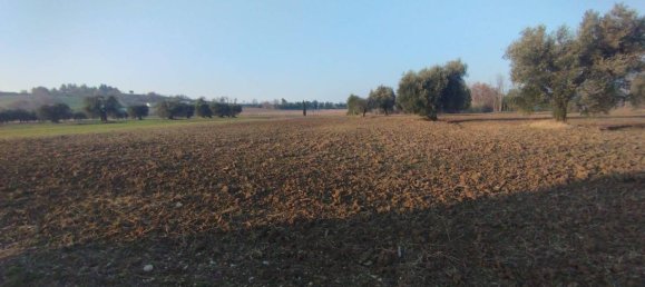 Дом с 12 комнатами в Мальяно ди Тенна, Италия № 115335 7