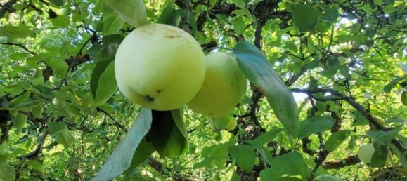 6غرفة تاون هاوس في Schwabach, Germany رقم 275819 31