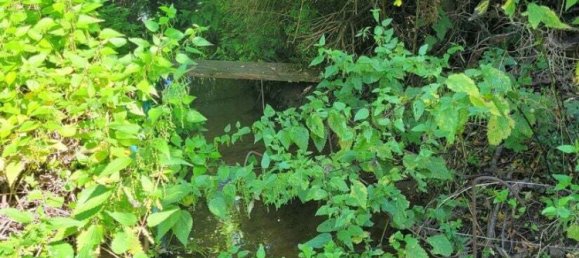 6غرفة تاون هاوس في Schwabach, Germany رقم 275819 16