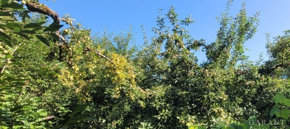 6غرفة تاون هاوس في Schwabach, Germany رقم 275819 9