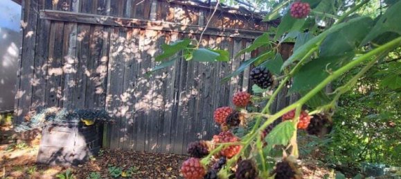 6غرفة تاون هاوس في Schwabach, Germany رقم 275819 32