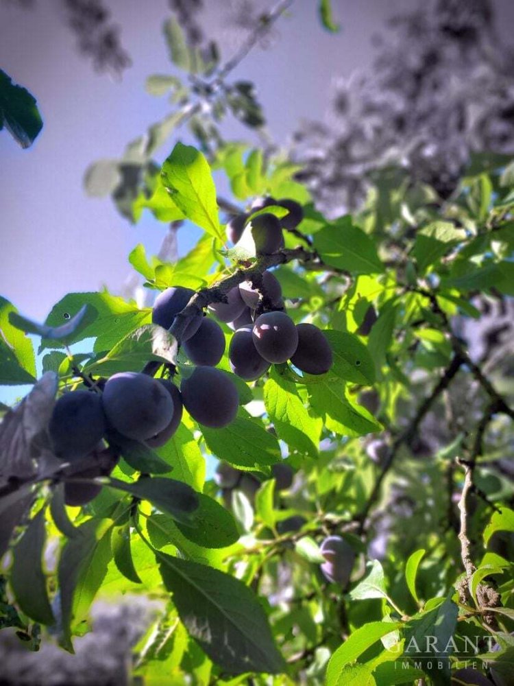 6غرفة تاون هاوس في Schwabach, Germany رقم 275819