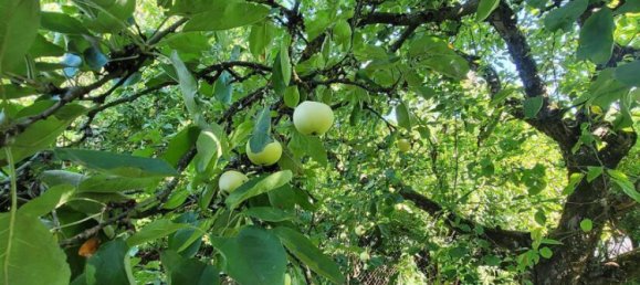 6غرفة تاون هاوس في Schwabach, Germany رقم 275819 11