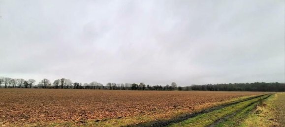  قطعة أرض في Markisch-Oderland, Germany رقم 30238 2