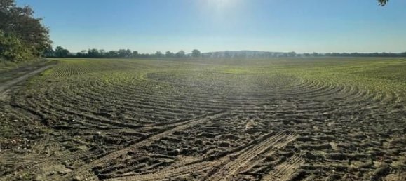  قطعة أرض في Markisch-Oderland, Germany رقم 30238 6