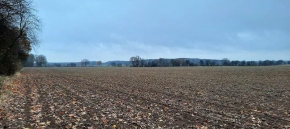  قطعة أرض في Markisch-Oderland, Germany رقم 30238 3