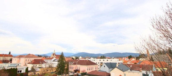 3-salle Duplex à Neunkirchen, Austria No. 138207 13