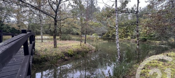  Land in Loir-et-Cher, France No. 210212 5