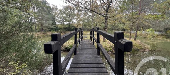  Land in Loir-et-Cher, France No. 210212 8