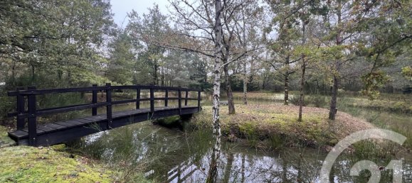  Land in Loir-et-Cher, France No. 210212 2