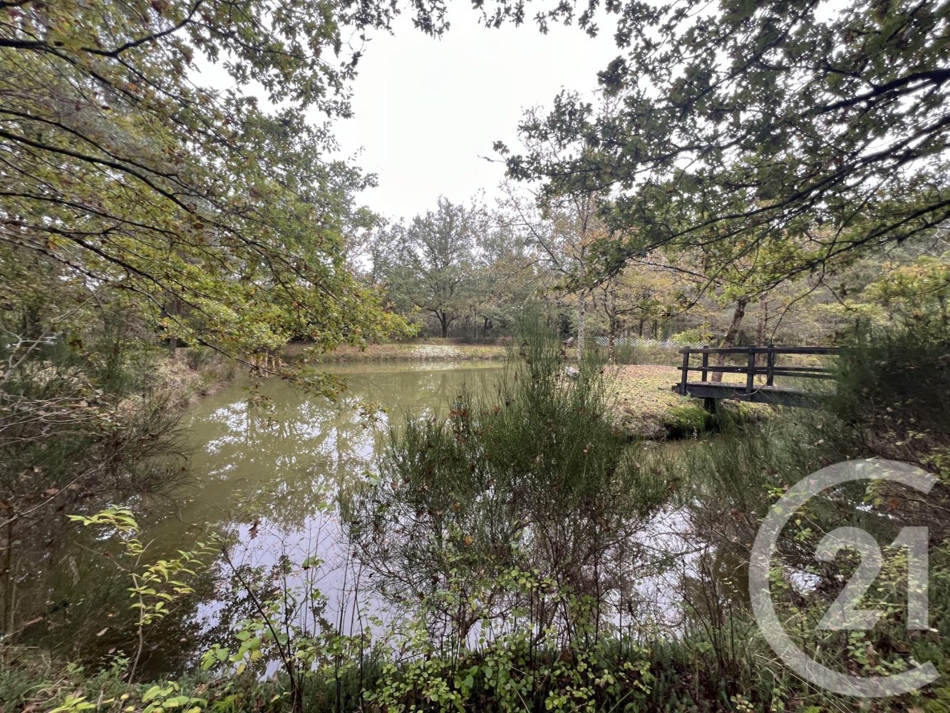  Land in Loir-et-Cher, France No. 210212