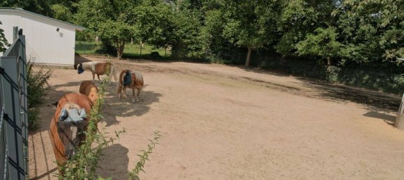 5-Zimmer Villa in Wandsbek, Germany, Nr. 320794 13