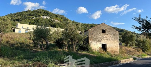 390m² Warehouse in Laureana Cilento, Italy No. 306906 3